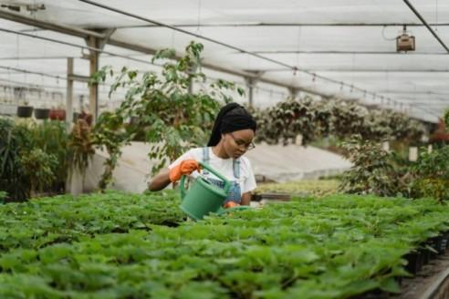 Net Zero Jobs
